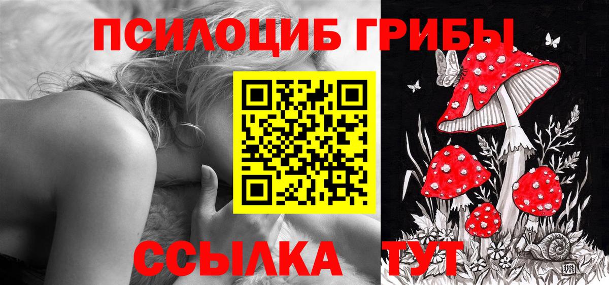 Псилоцибиновые грибы Psilocybe  Галлюциногенные грибы Cubensis  Новоалександровск  Вход с VPN 